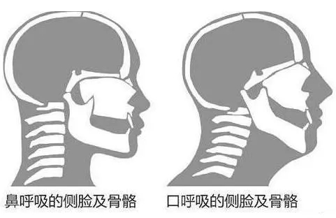 &#77;&#75;&#115;&#112;&#111;&#114;&#116;&#115;&#40;&#20013;&#22269;&#41;&#23448;&#26041;&#32593;&#31449;