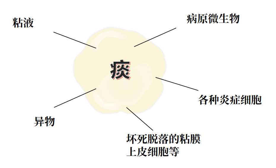 &#77;&#75;&#115;&#112;&#111;&#114;&#116;&#115;&#40;&#20013;&#22269;&#41;&#23448;&#26041;&#32593;&#31449;
