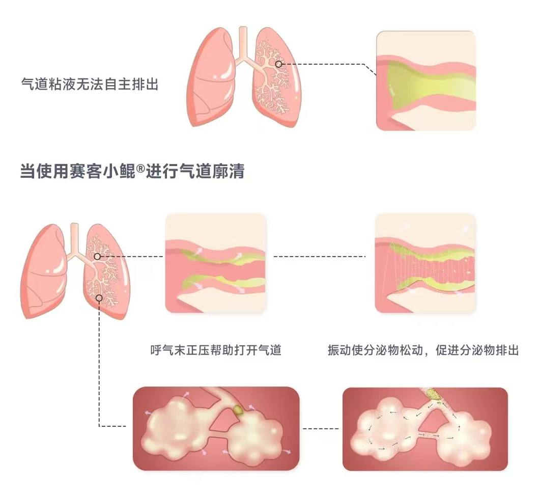 &#77;&#75;&#115;&#112;&#111;&#114;&#116;&#115;&#40;&#20013;&#22269;&#41;&#23448;&#26041;&#32593;&#31449;
